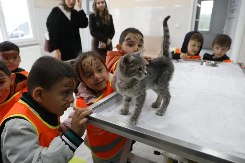 Patili dostlarımıza özel etkinlik