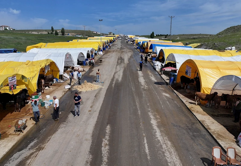 Kurban satış alanı başvuruları başladı