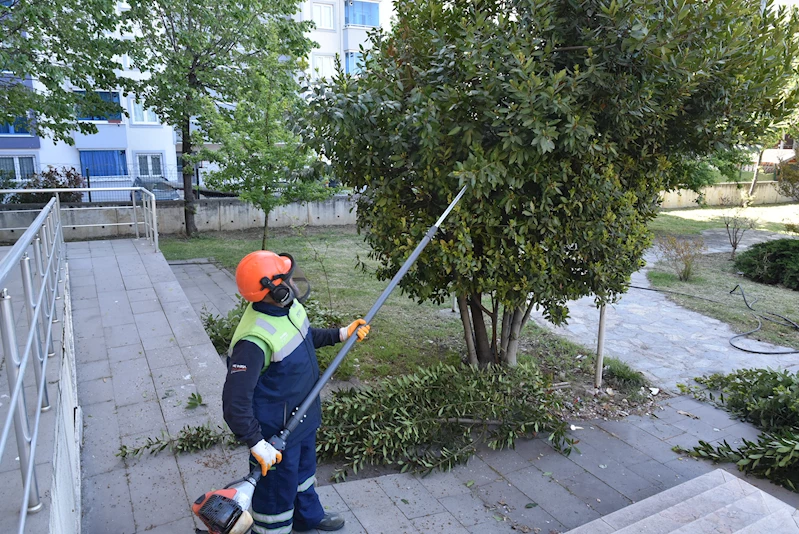 İlçe Genelinde Bahar Temizliği Başladı