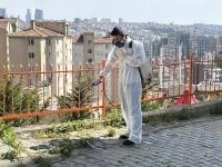 KÂĞITHANE’DE YAZ BOYUNCA HAŞERE VE SİVRİSİNEKLERE KARŞI ÖNLEMLER ALINIYOR