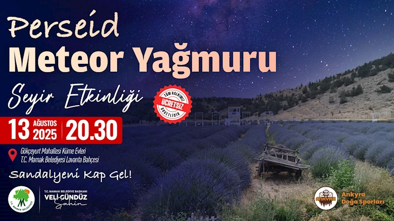 Mamaklılar Meteor Yağmurunu Lavanta Bahçesinde İzleyecek